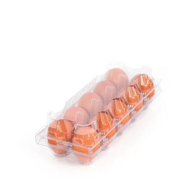 10'Lu Plastik Yumurta Viyolü (100 Adet)