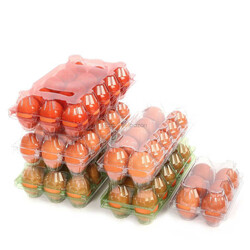 10'Lu Plastik Yumurta Viyolü (600 Adet) - Thumbnail