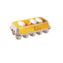 10'lu Üstü Düz Kapaklı Yumurta Viyolü (60 Adet) - Thumbnail