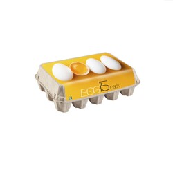 15'li Kapaklı Yumurta Viyolü (100 Adet) - Thumbnail