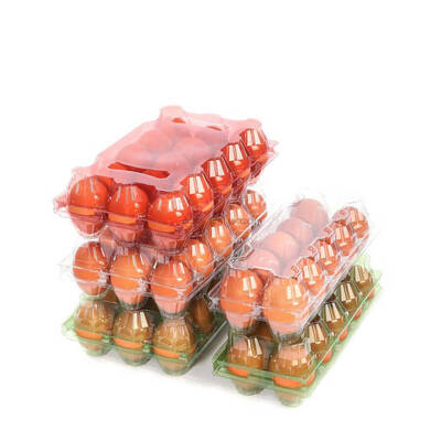 15'li Plastik Yumurta Viyolü (100 Adet)