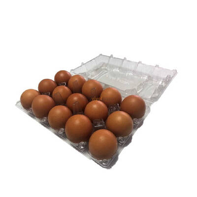 15'li Plastik Yumurta Viyolü (400 Adet)