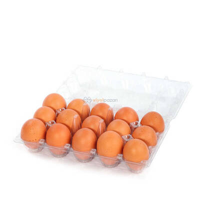 15'li Plastik Yumurta Viyolü (800 Adet)