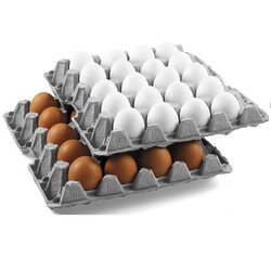 20 li Yumurta Viyolü 25 Lbs (ÇOK BÜYÜK BOY XL VE ÇİFT SARI VİYOLÜ) - Thumbnail