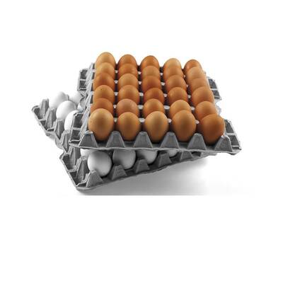 30 lu Yumurta Viyolü 15,5 Lbs (140 Adet Küçük Boy)