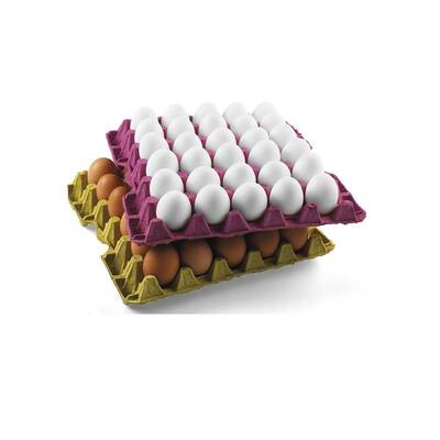 30 lu Yumurta Viyolü 15,5 Lbs (140 Adet Küçük Boy)