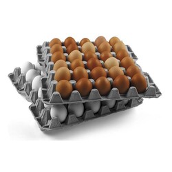 30'lu Yumurta Viyolü 17 Lbs - Multi K (140 Adet Büyük ve Orta Boy) - Thumbnail