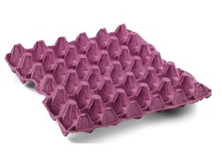 30'lu Yumurta Viyolü 20 Lbs (140 Adet Çok Büyük Boy ) - Thumbnail