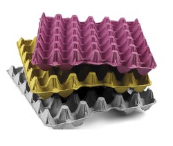 30'lu Yumurta Viyolü 20 Lbs (140 Adet Çok Büyük Boy ) - Thumbnail