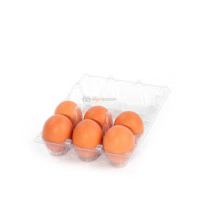 6'lı Plastik Yumurta Viyolü (1400 Adet)