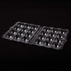 Bıldırcın Yumurta Viyolü 12 li (2000 Adet) - Thumbnail