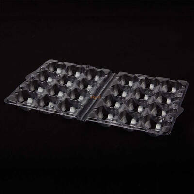 Bıldırcın Yumurta Viyolü 12 li (300 Adet)