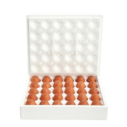 Köpük Kargo Yumurta Viyolu 30lu (200 Adet) - Thumbnail