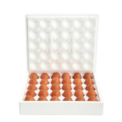 Köpük Kargo Yumurta Viyolu 30lu (200 Adet)