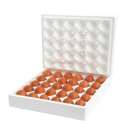 Köpük Kargo Yumurta Viyolu 30lu (80 Adet) - Thumbnail