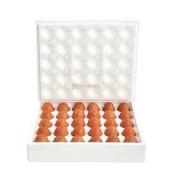 Köpük Kargo Yumurta Viyolu 30lu (80 Adet) - Thumbnail