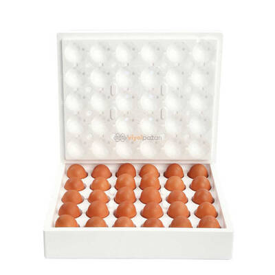 Köpük Kargo Yumurta Viyolu 30lu
