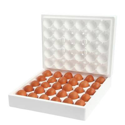 Köpük Kargo Yumurta Viyolu 30lu