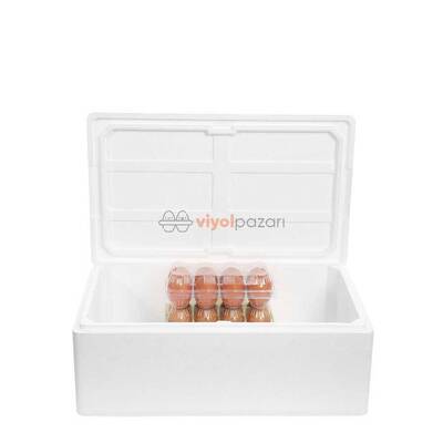 Strafor Köpük Kutu (50x40x21) cm 10kg - 2 Adet B-2